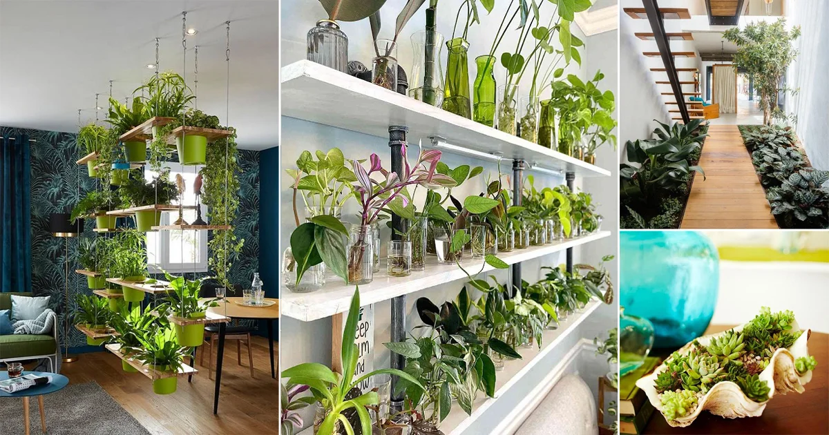 US Millennials Drive Surge in Indoor Gardening
