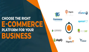10 Factors To Look for When Picking the Right eCommerce Platform