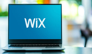 How to Choose and Buy the Right Domain on Wix: A Beginner's Guide