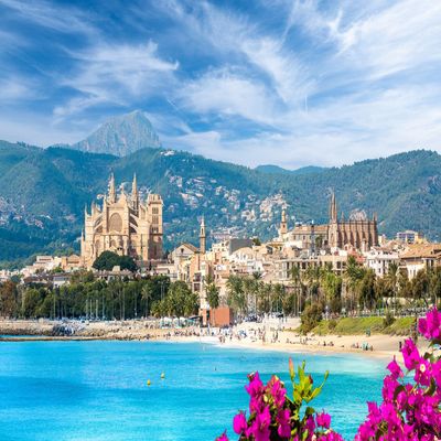 Unveil the Magic of Mallorca with this Exclusive Travel Guide