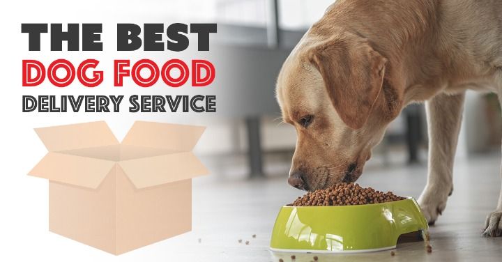 Top-Rated Online Food Delivery Platforms for Your Pets