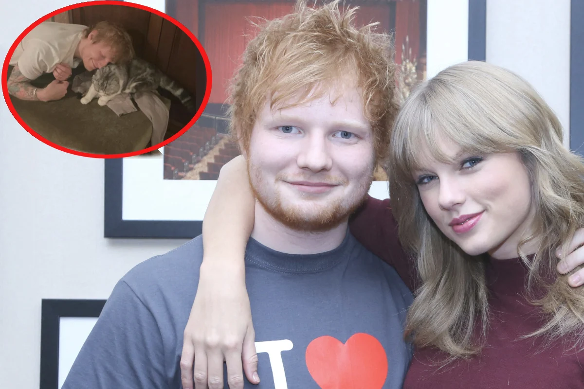 Ed Sheeran Delights Fans with a Rare Photo of Taylor Swift's Beloved Cat
