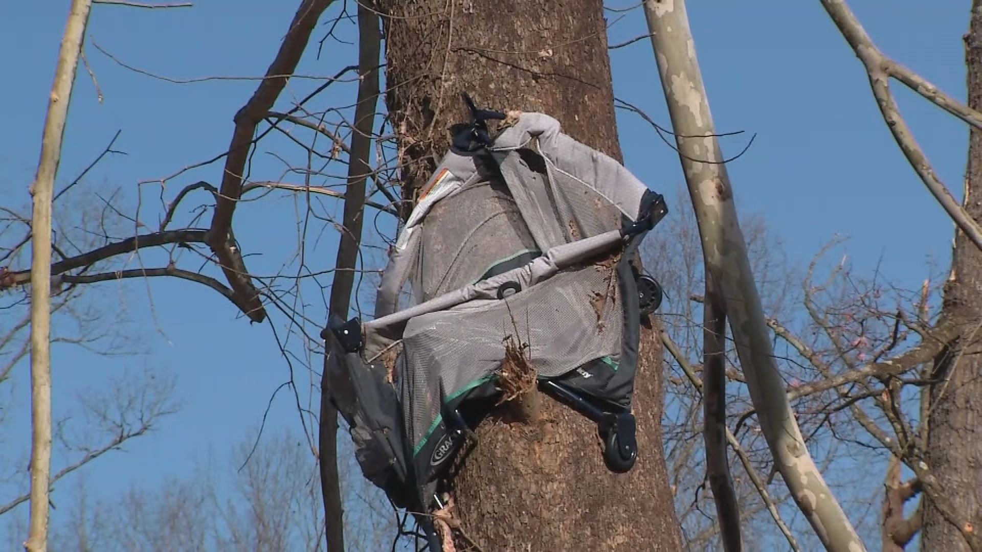 Miracle in the Storm: Baby Found Unharmed in Comforting Cradle of Fallen Tree