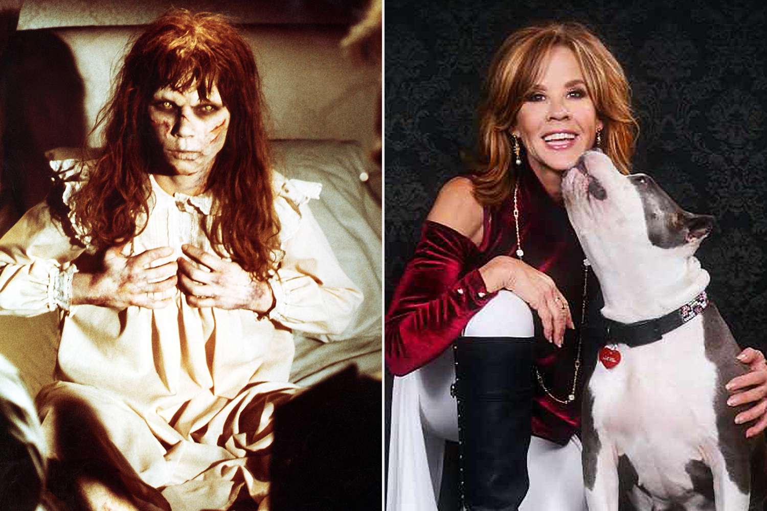 Linda Blair: From "The Exorcist" to Animal Rescue - A Life's Calling