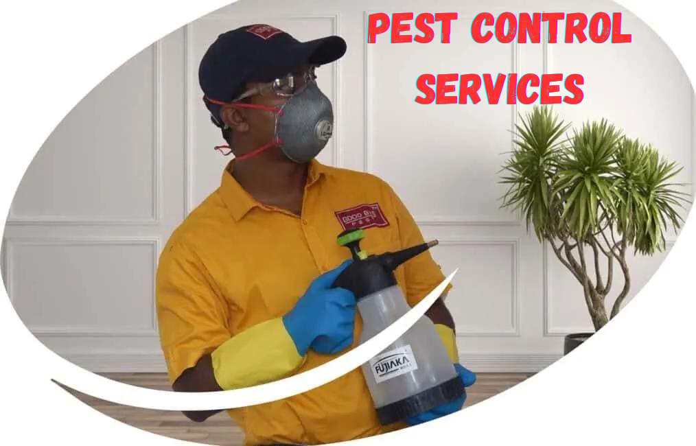 Your Go-To List for Trusted 10 Pest Control Services
