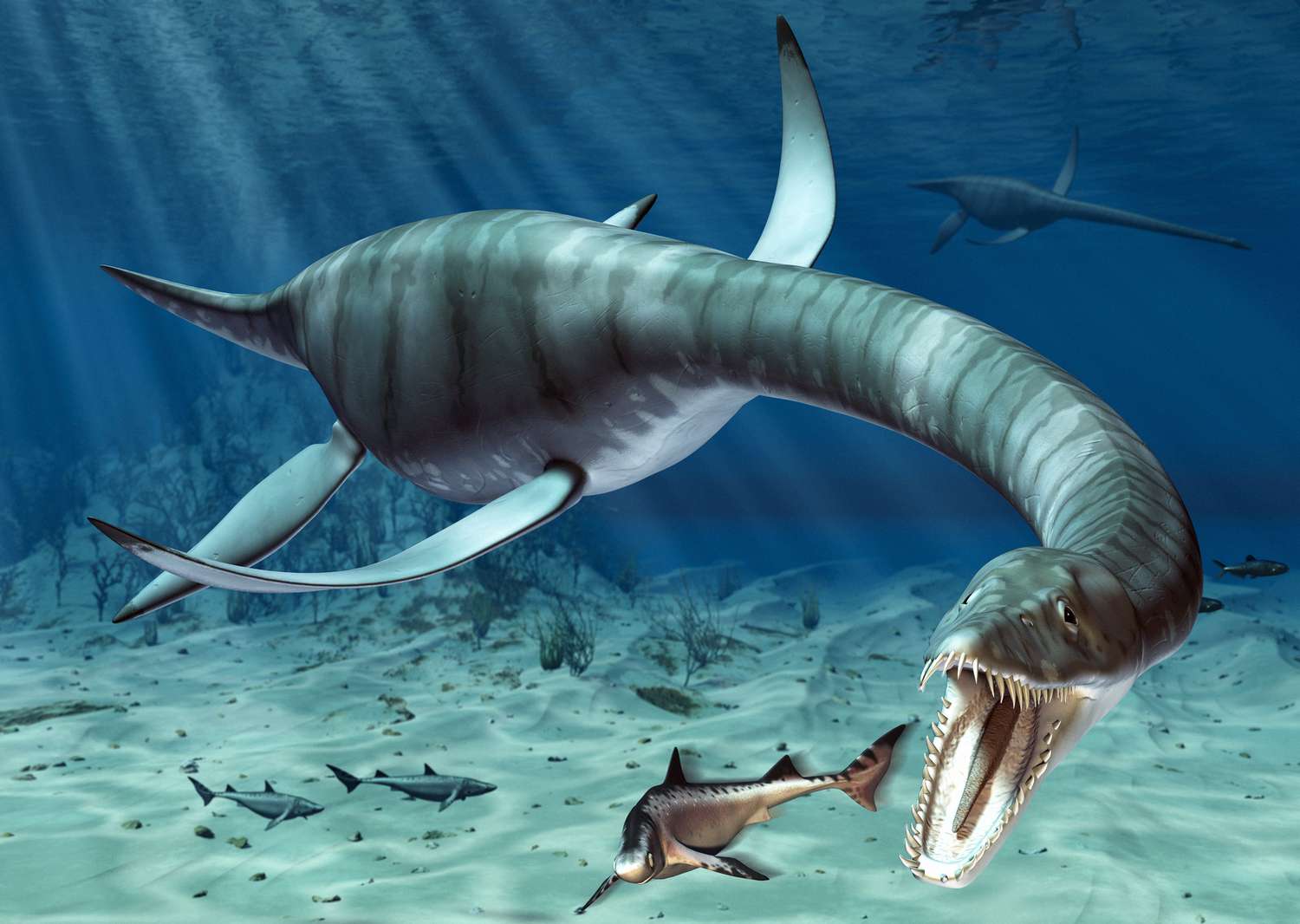 Whiplash In Evolution: Plesiosaurs Doubled Their Neck Length by Adding New Vertebrae?
