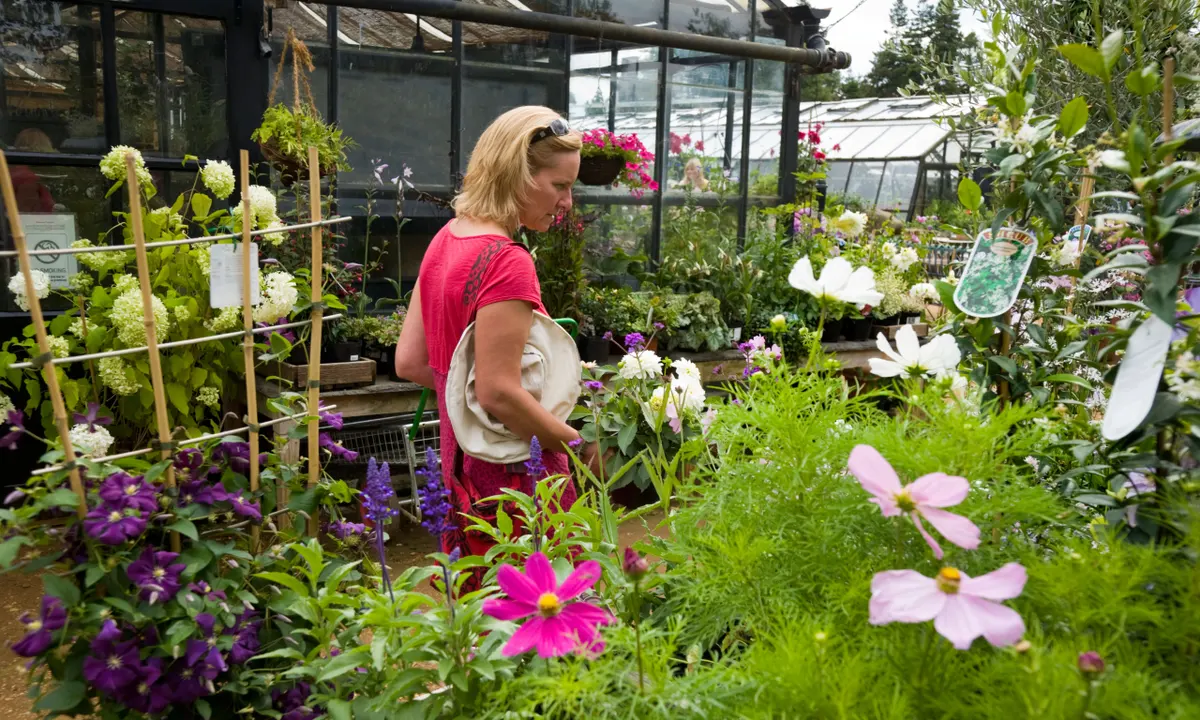 A Twist of Nature: The Fascinating Tale of the Gardener and the Sentient Plant