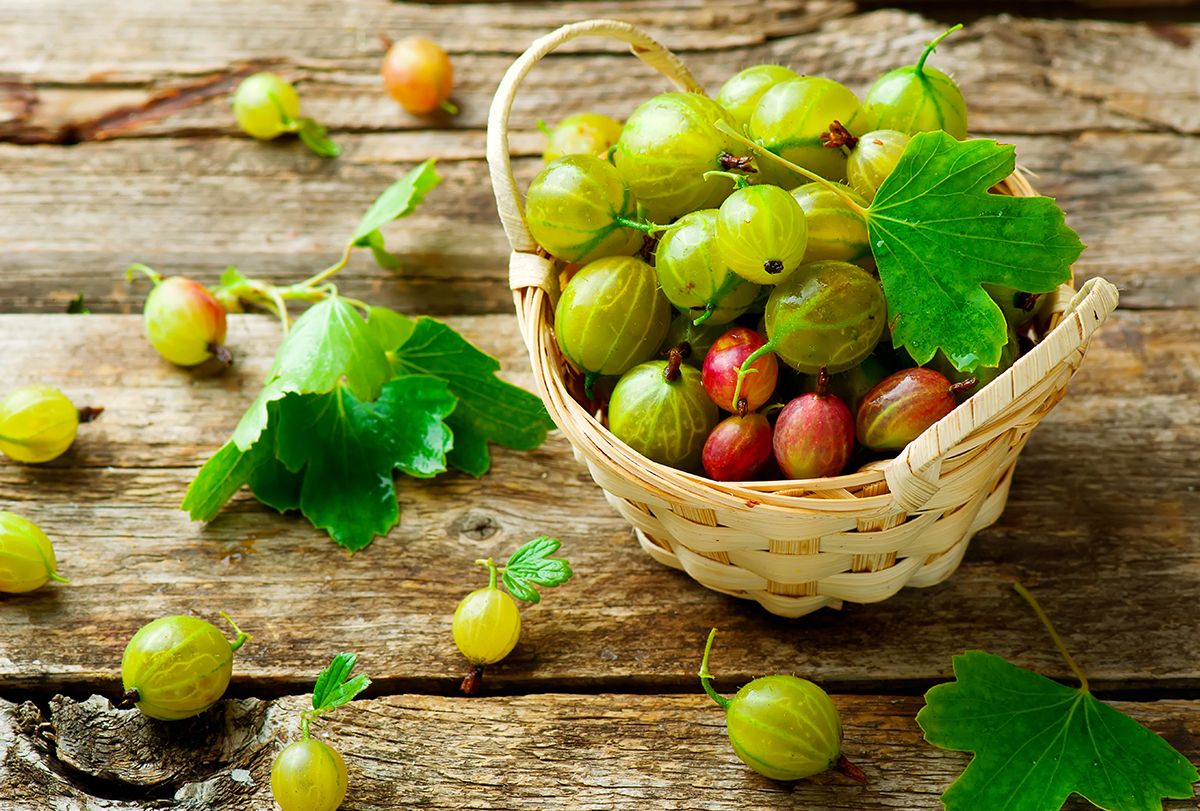 Gooseberry Hack: How to Look 10 Years Younger With This Simple Berry!