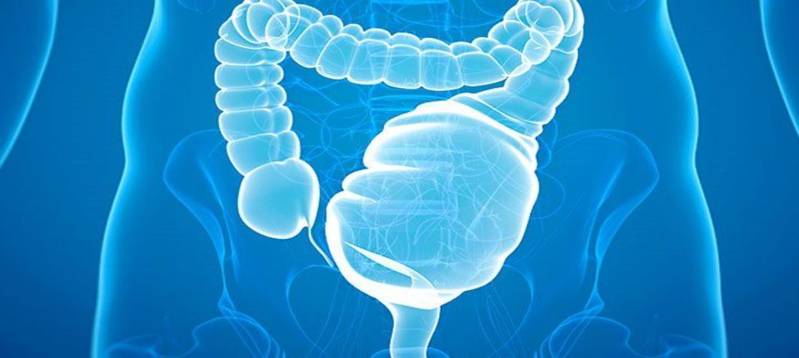 The Significance of Ulcerative Colitis