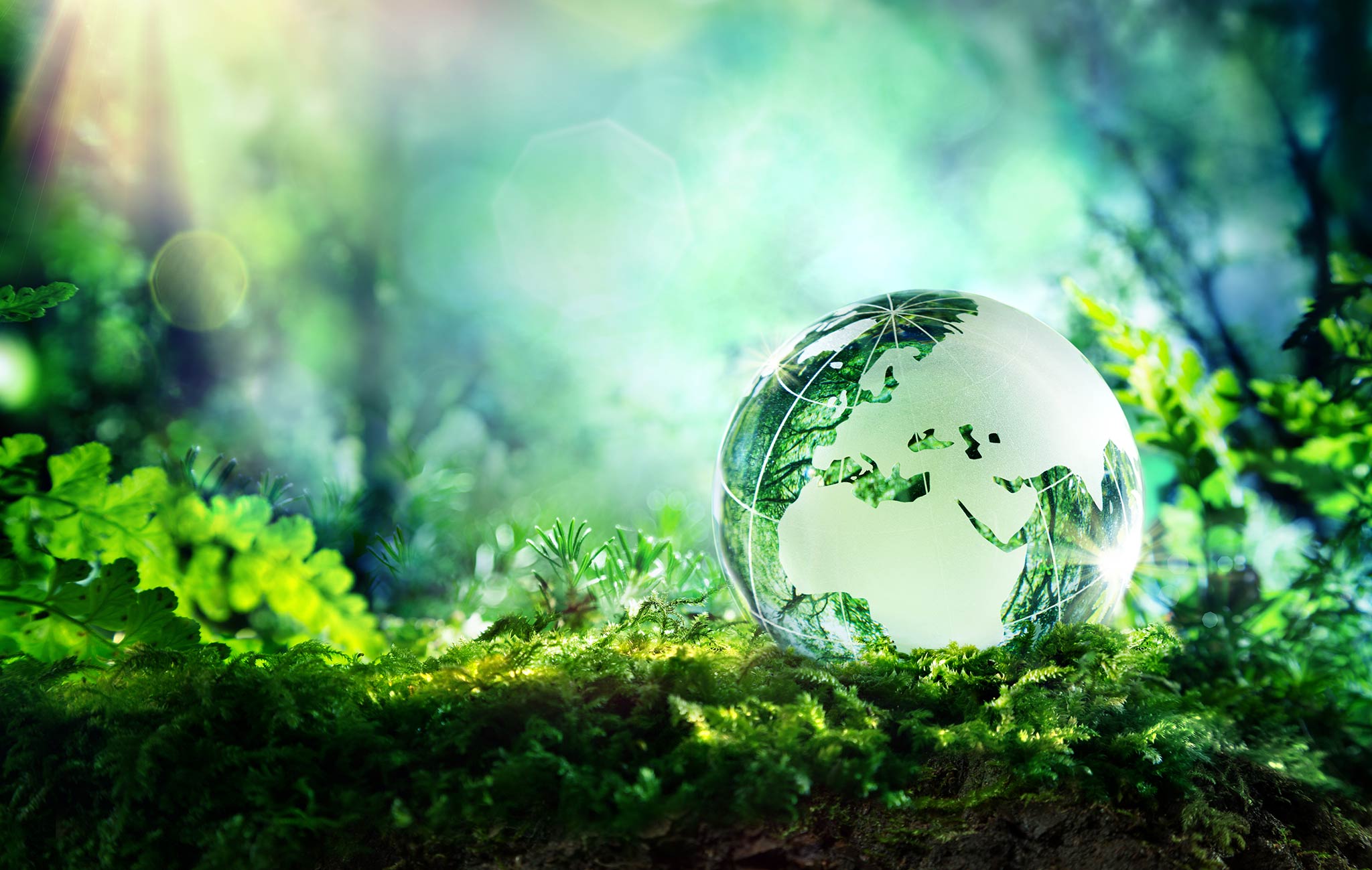Living Green: How Sustainability is Shaping Lifestyles in 2023?