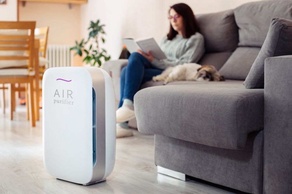 Breathe Easy in 2024: The 10 Best Air Purifiers Reviewed