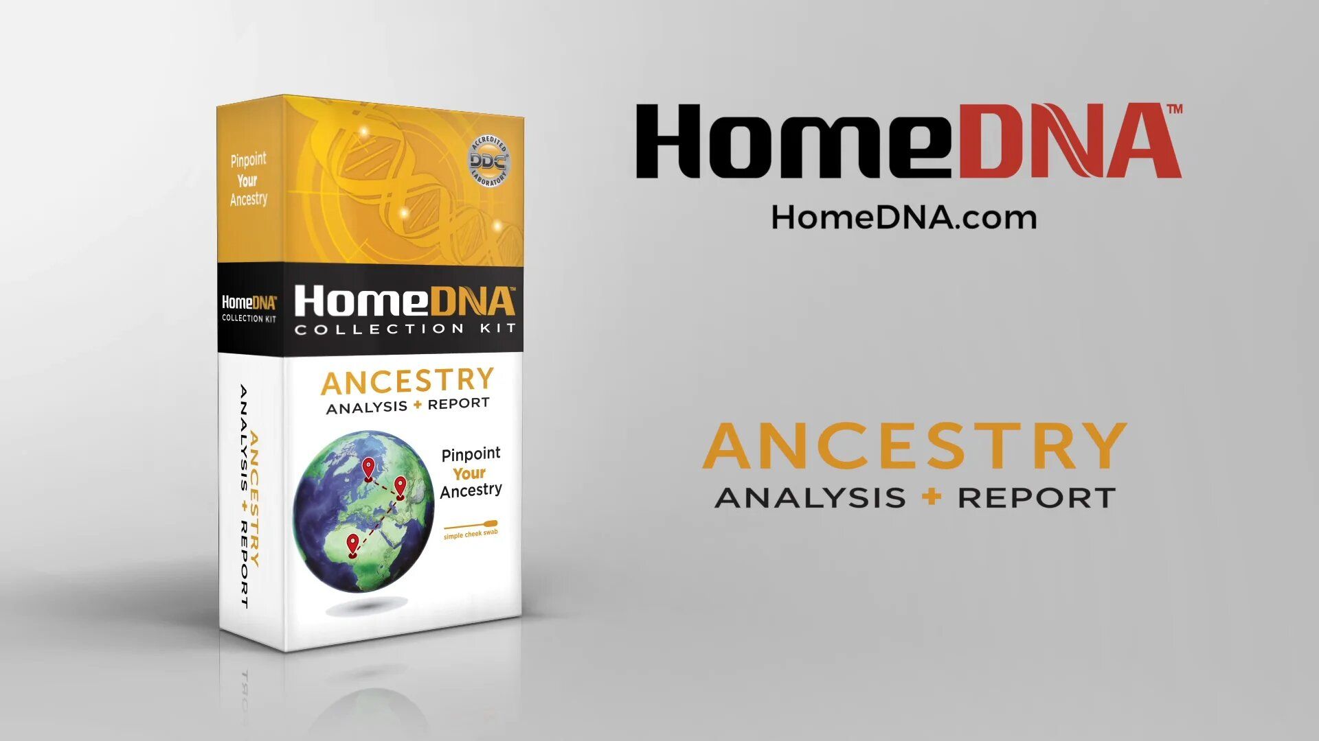 Trusted 10 Best DNA Testing Kits In 2023