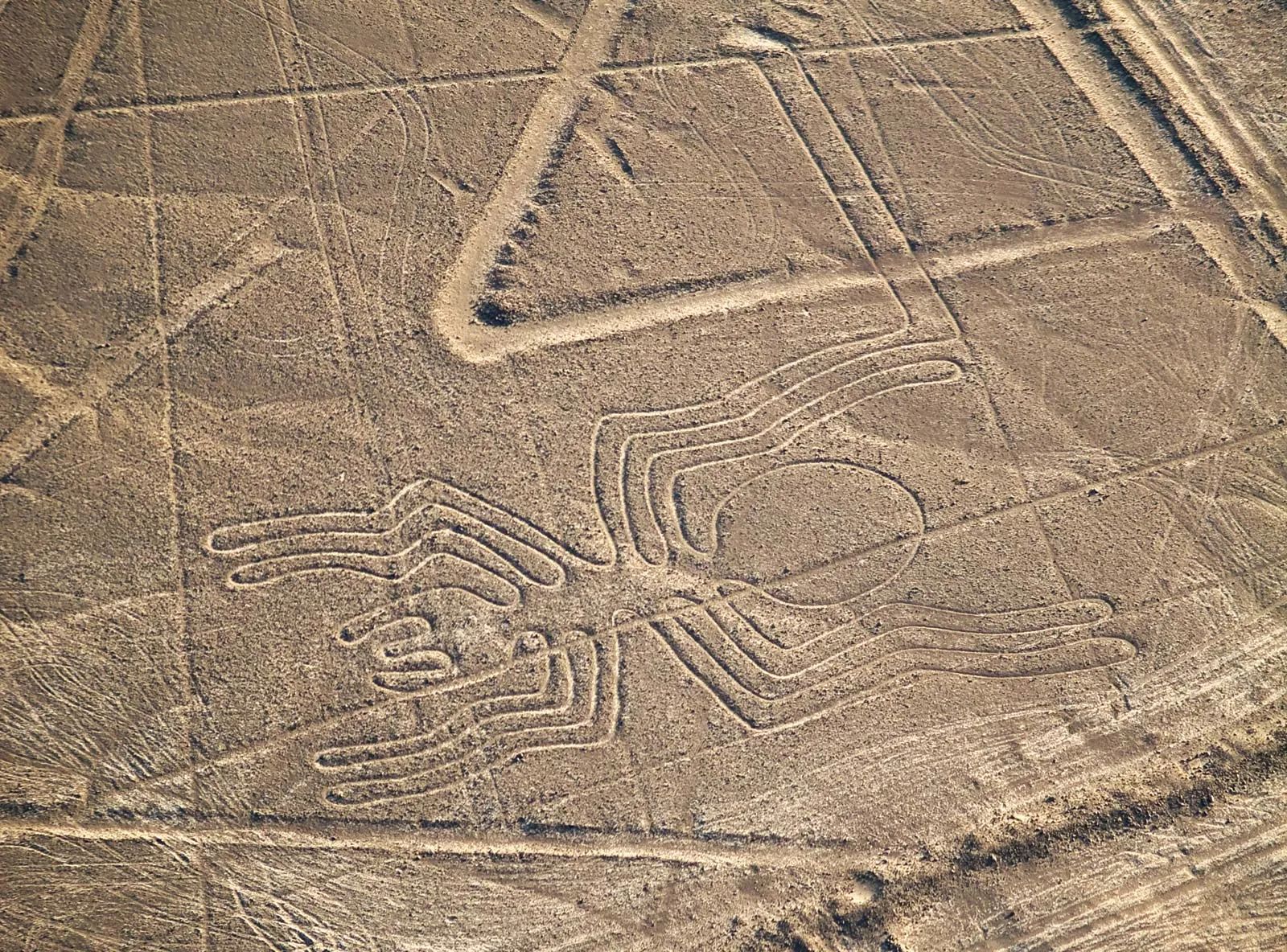 Unearthing the Nazca Lines: Ancient Geoglyphs and Extraterrestrial Theories
